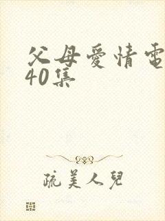 父母爱情电视剧40集