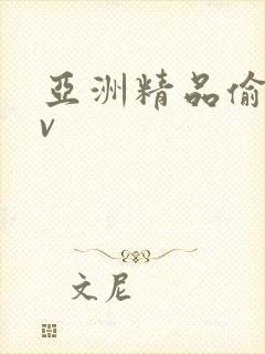 亚洲精品偷拍av