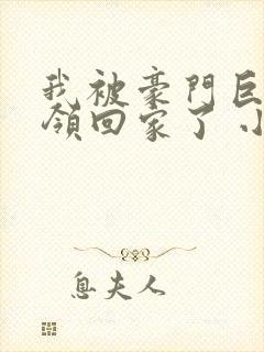 我被豪门巨佬们领回家了 小说
