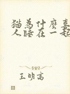 猫为什么喜欢和人睡在一起