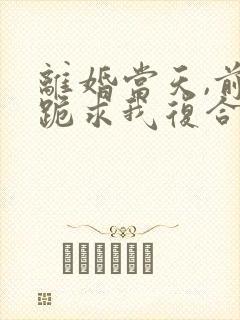 离婚当天,前夫跪求我复合