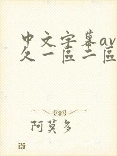 中文字幕av久久一区二区