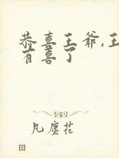 恭喜王爷,王妃有喜了封面