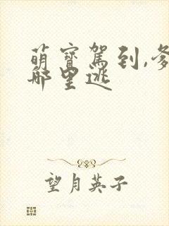 萌宝驾到,爹地哪里逃封面