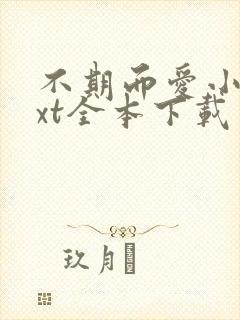 不期而爱小说txt全本下载