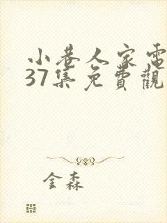 小巷人家电视剧37集免费观看
