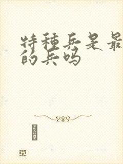 特种兵是最厉害的兵吗