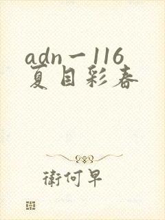 adn一116夏目彩春封面