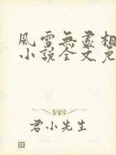 风雪无尽相思情小说全文免费阅读