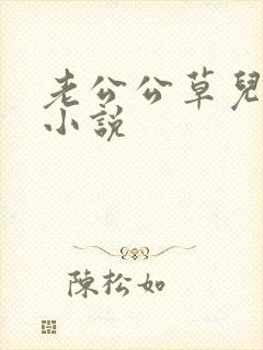 老公公草儿媳妇小说