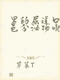 男的尿道口有黄色分泌物吃什么药