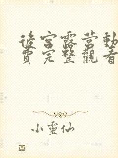 后宫露营动漫免费完整观看