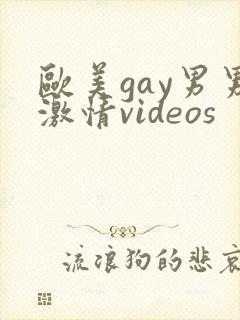 欧美gay男男激情videos