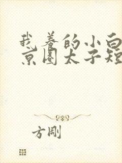 我养的小白脸是京圈太子短剧