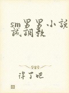 sm男男小说训诫调教