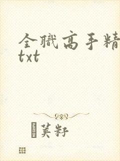 全职高手精校版txt