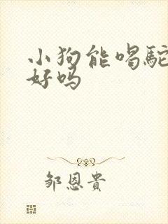 小狗能喝驼奶粉好吗封面