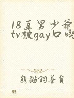 18直男少爷ktv被gay口吃视频封面