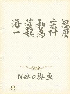 海藻和宋思明在一起为什么落红