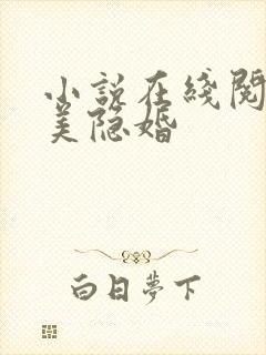 小说在线阅读完美隐婚