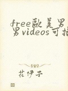 free欧美男男videos可播放