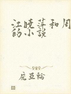 江晓萍和周校长的小说