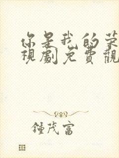 你是我的荣耀电视剧免费观看高清