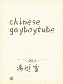 chinesegayboytube封面