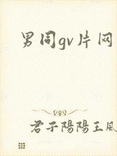 男同gv片网站