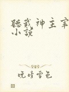 听武神主宰有声小说