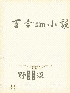 百合sm小说h封面