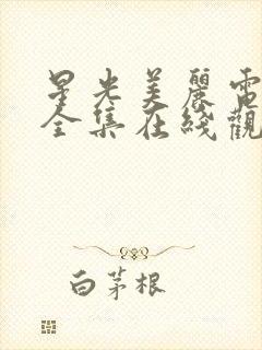 星光美丽电视剧全集在线观看免费高清