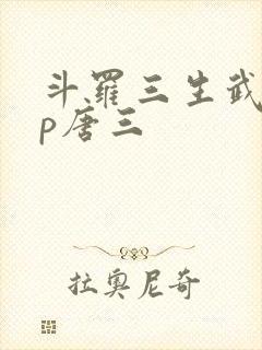 斗罗三生武魂cp唐三封面