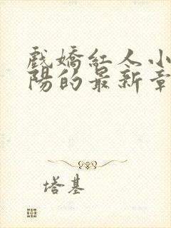 戏娇红人小说陈阳的最新章节更新情