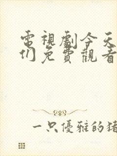 电视剧今天的她们免费观看全集高清封面