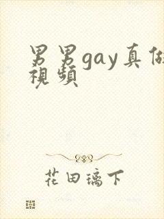 男男gay真做视频
