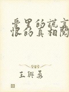 爱里的谎言,仇恨的真相阅读封面