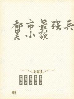 都市最强兵王叶昊小说