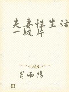 夫妻性生活录像一级片