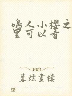 鸣人小樱之夜哪里可以看