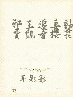 邪王追妻动漫免费观看樱花动漫第一季