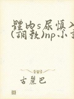 体内s尿慎入h(调教)np小说