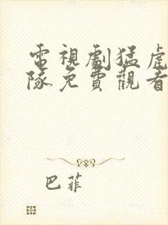 电视剧猛虎突击队免费观看全集