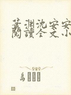 萧渊沈安安免费阅读全文小说封面