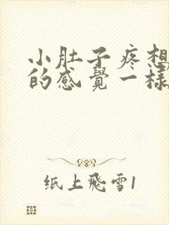 小肚子疼想拉屎的感觉一样怎么回事