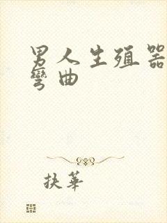 男人生殖器向右弯曲