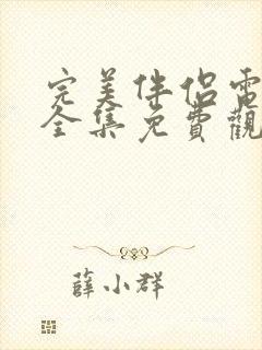 完美伴侣电视剧全集免费观看下载