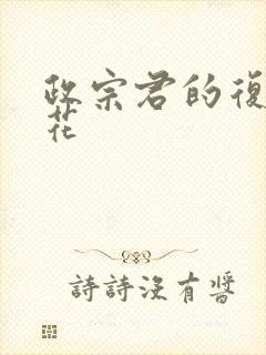 政宗君的复仇樱花