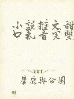 小说推文甜文一口气看完双男主