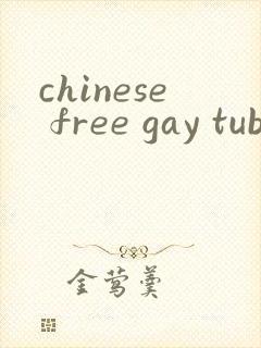 chinese free gay tube